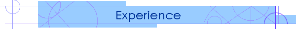Experience